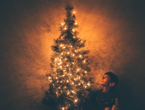 christmas photography - photojaanic-3