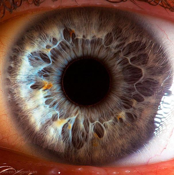 A close-up shot of the pupil of a human eye