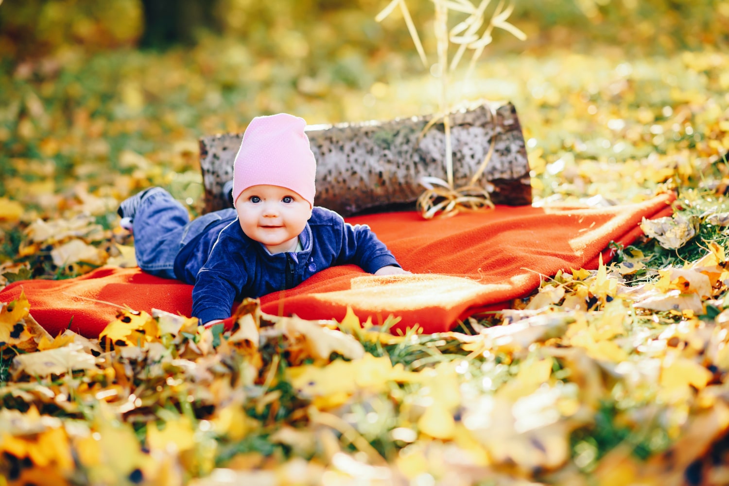 Nature-inspired newborn baby photoshoot