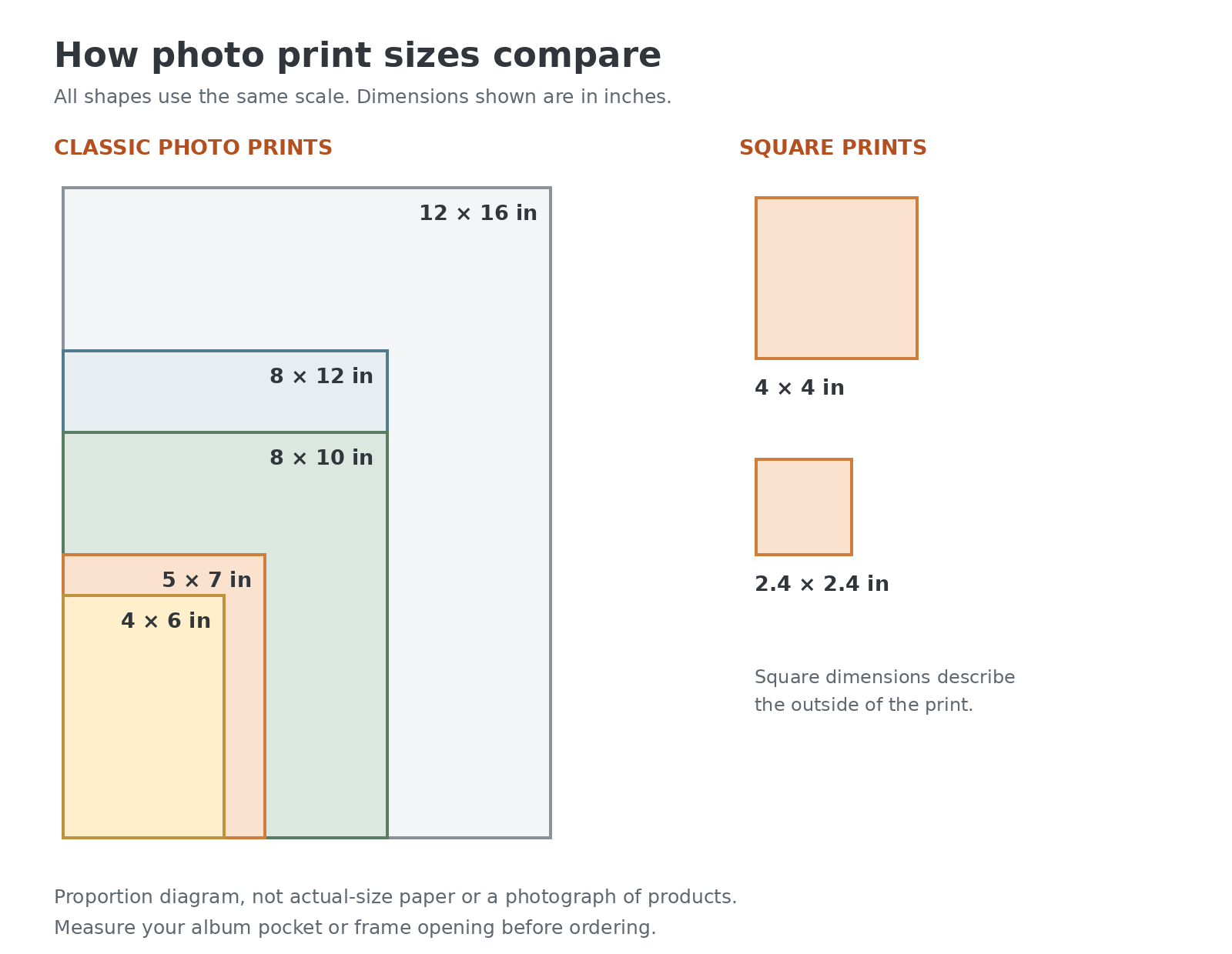 Scale comparison of 4×6, 5×7, 8×10 and 4×4-inch photo prints, with centimetre dimensions.